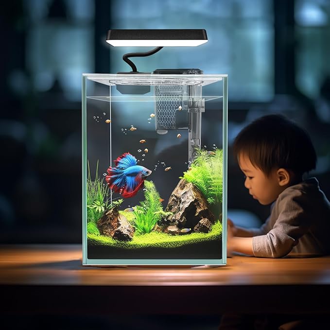 Ultra White Glass Betta Aquarium Starter Kits 1.5 Gallon Small Fish Tank, Betta Fish Tank with LED Light, Power Filter, 4mm Glass iPriro