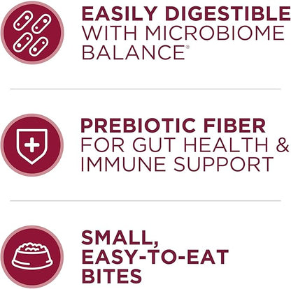 Purina ONE Small Bites Beef and Rice Formula Small High Protein Dry Dog Food Natural With Added Vitamins, Minerals and Nutrients - 16.5 lb. Bag - PAWPICO