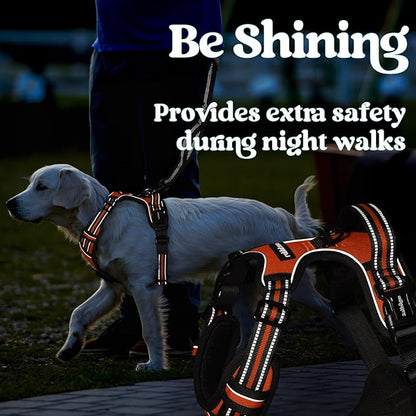 rabbitgoo Dog Harness Medium Sized, No Pull Pet Harness with 3 Buckles, Adjustable Soft Padded Pooch Vest with Instant Control Handle, Easy Walking Reflective Pet Vest for Medium Dogs, Orange, M - PAWPICO
