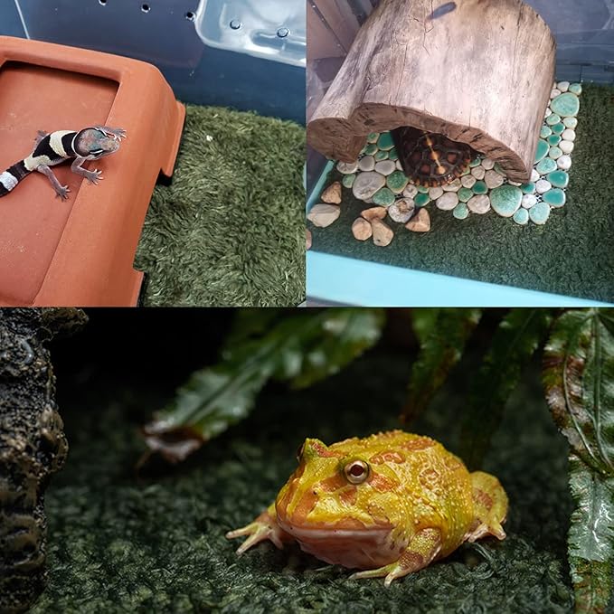 kathson 2 PCS Reptile Carpet Mat Terrarium Bedding Substrate Liner Mat Imitation Rainforest Crawler Mats for Snakes Bearded Dragon Gecko Chameleon Turtles Iguana（23.62 X 15.74 in） kathson
