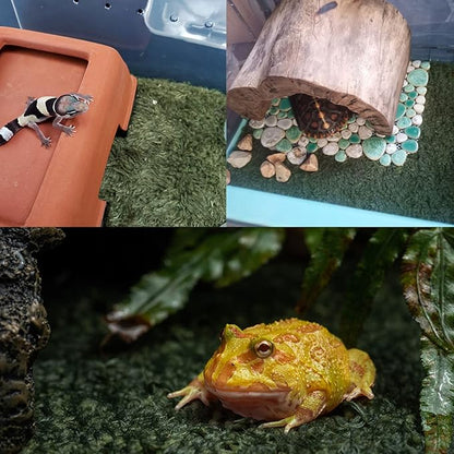 kathson 2 PCS Reptile Carpet Mat Terrarium Bedding Substrate Liner Mat Imitation Rainforest Crawler Mats for Snakes Bearded Dragon Gecko Chameleon Turtles Iguana（23.62 X 15.74 in） kathson