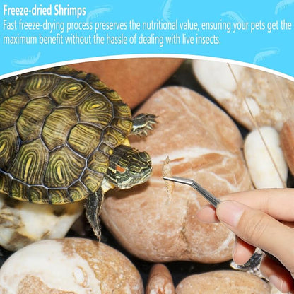Freeze Dried Shrimp – 3.5 Oz Freeze Dried River Shrimp, Shrimp Turtle Food, Turtle Shrimp, Nutrient-Rich Shrimp Treat for Reptiles, Aquatic Turtles, Sugar Gliders, Hedgehogs, Tropical Fish Jadingfarm