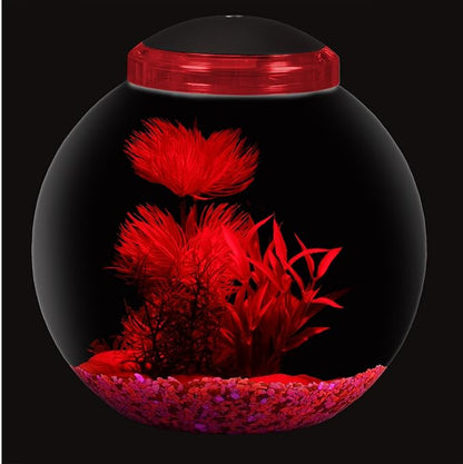 Koller Products 3-Gallon Globe Fish Bowl, Impact- Resistant Plastic Fish Tank with LED Lighting, Crystal-Clear Clarity, Desktop Aquarium Tank for Betta Nano Goldfish Peacockfish Zebrafish, Home Décor DISCOVERTHEEXCITINGWORLDOFKEEPINGTROPICALFISH
