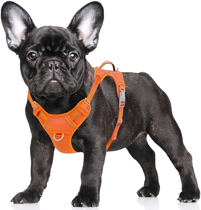 BARKBAY No Pull Dog Harness Large Reflective Dog Harness with Front Clip and Easy Control Handle for Walking Training Running with ID tag Pocket(Orange,S) BARKBAY