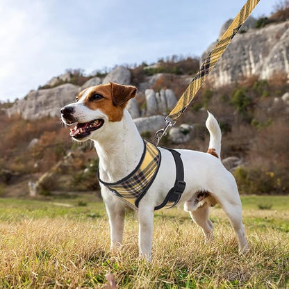 PUPTECK Soft Mesh Dog Harness and Leash Set Pet Puppy Cat Comfort Padded Vest No Pull Harnesses, Yellow, L PUPTECK