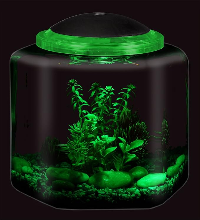 Koller Products 2-Gallon Hex Aquarium Starter Tank - LED Lighting (7 Color Selections), Impact-Resistant Plastic Fish Bowl with Stand for Betta/Nano/Goldfish, Wedding Event & Home Decor DISCOVERTHEEXCITINGWORLDOFKEEPINGTROPICALFISH