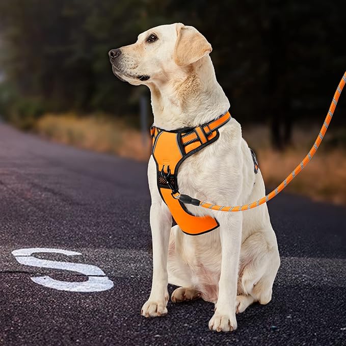 IVY&LANE No Pull Dog Harness for Small Dogs, Vest Harness with Leash, Safety Belt and Storage Strap, Fully Adjustable, 360° Reflective Strip, Soft Handle (Orange, S) IVYLANE