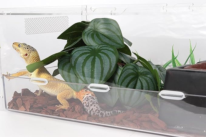 Reptile Plants for Terrarium, Ball Python Tank Decor Accessories fit Bearded Dragon Crested Leopard Gecko Lizard Chameleon Snake Frog Tortoise Hermit Crab - Fake Calathea Orbifolia WOLEDOE