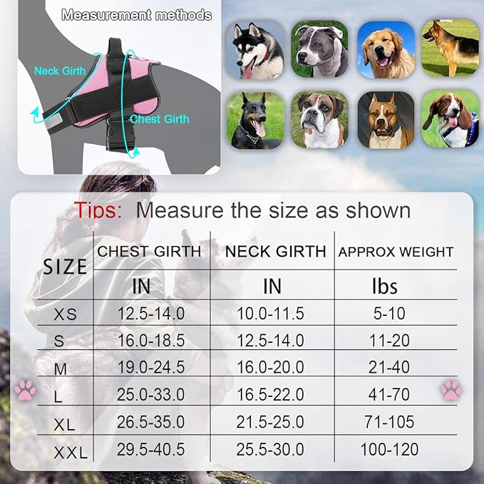 Bolux Dog Harness, No-Pull Reflective Dog Vest, Breathable Adjustable Pet Harness with Handle for Outdoor Walking - No More Pulling, Tugging or Choking (Pink, L) Bolux