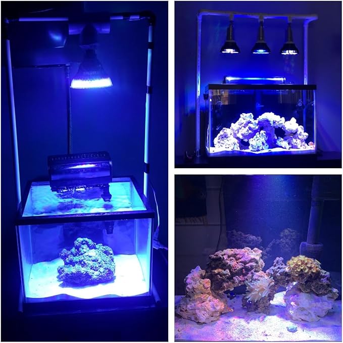 LED Aquarium Lights Bulb 18W Saltwater Fish Tank Light Full Spectrum Aquatic Plants Grow Lamp Refugium Light with UV Blue White Red Green LEDs Reef Lights for Coral Marine Algae Turtle Habitat WelcometoShineCai