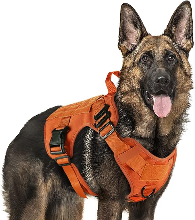 rabbitgoo Tactical Dog Harness for Large, Heavy Duty Pet Harness with Handle, No-Pull Service Vest Large Breed, Adjustable Military Dog Vest for Training Hunting Walking, Orange, XL rabbitgoo