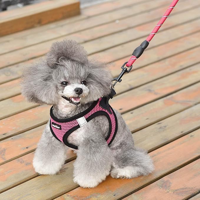 Dog Harness Step-in Breathable Puppy Cat Dog Vest Harnesses for Small Medium Dogs - PAWPICO