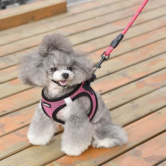 Dog Harness Step-in Breathable Puppy Cat Dog Vest Harnesses for Small Medium Dogs - PAWPICO