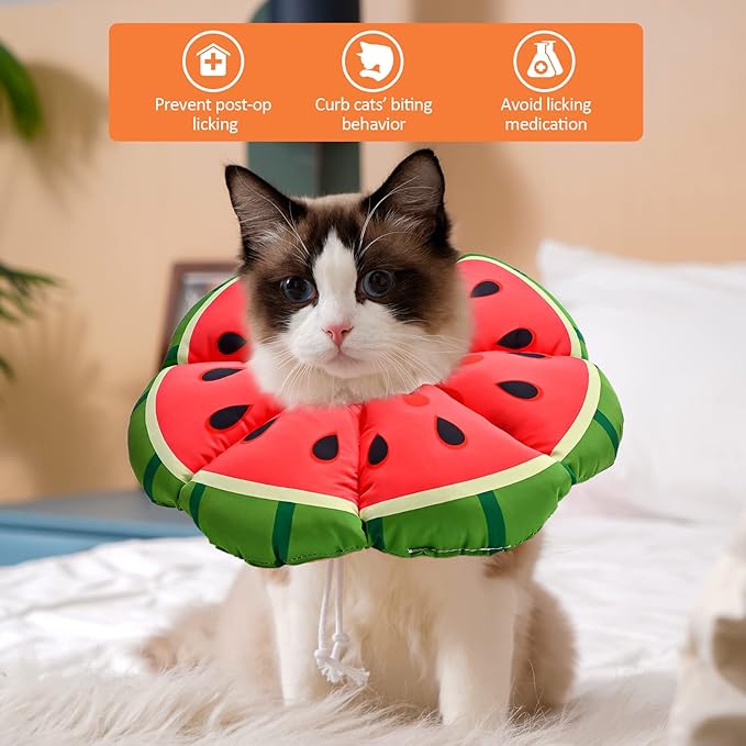 Avont Cat Cone Collar Soft, Adjustable Recovery E Collar Alternative for Cats Kittens Puppies, Elizabethan Neck Cone of Shame to Prevent Licking Biting After Surgery Protect Wounds -Melon(S) Avont