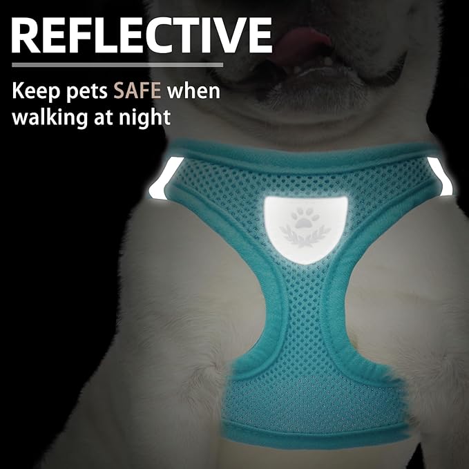 PUPTECK Adjustable Dog Harness Collar and Leash Set Step in No Pull Pet Harness for Small Medium Dogs Puppy and Cats Outdoor Walking Running, Soft Mesh Padded Reflective Vest Harnesses, Turquoise S PUPTECK