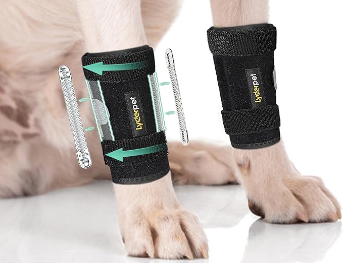 Dog Brace Front Leg Wrist Support, Canine Dog Carpal Brace Splint, Prevents Injuries and Sprains, Protects Carpus Joint Wounds Heals, Helps with Loss of Stability Caused by Arthritis Lyderpet