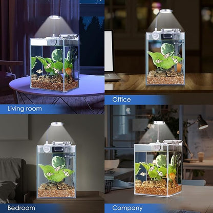 1.5 Gallon Aquarium Betta Fish Tank Starter Kit, Self Cleaning Filter HD Float Glass Small Fish Bowl Light Rocks Gravel Plants Cleaning Tool Set, Beginner's Gift for Snails, Guppy, Shrimp WONDERFACTORY