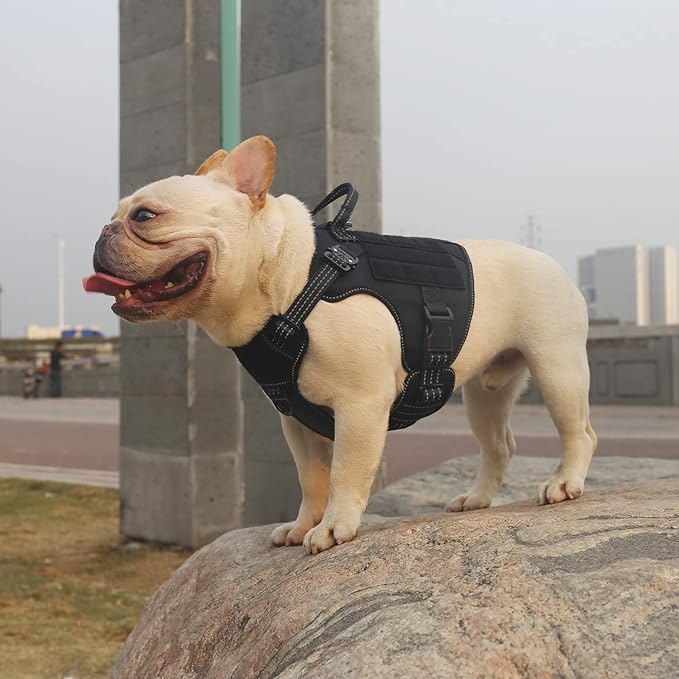 ICEFANG Tactical Dog Harness, Small Size,2X Metal Buckle,Working Dog MOLLE Vest with Handle,No Pulling Front Leash Clip,Hook and Loop Panel ICEFANGDIRECT