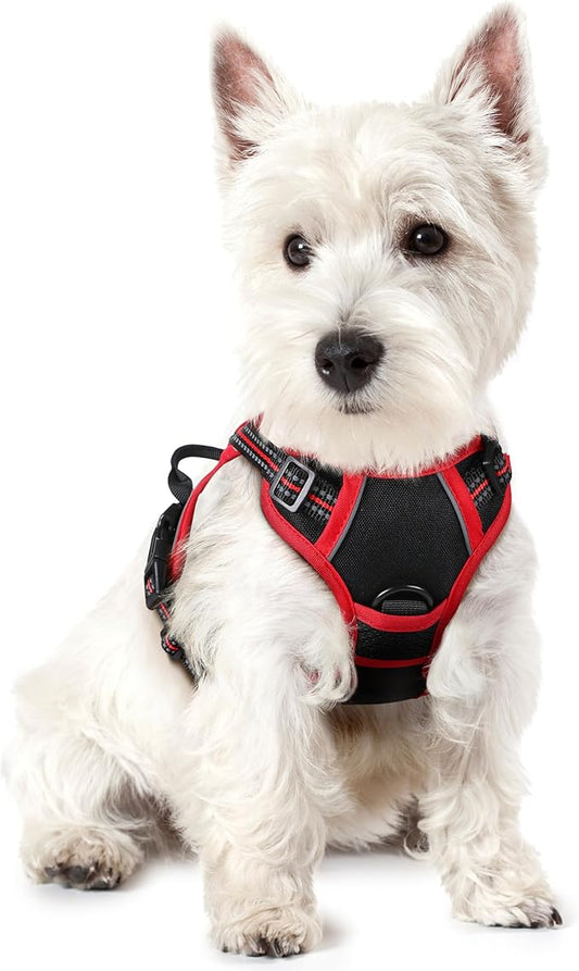 rabbitgoo Dog Harness No Pull with 2 Leash Clips, Adjustable Soft Padded, Reflective Oxford No Choke Pet Vest with Easy Control Handle for Puppy, Black & Red, XS rabbitgoo