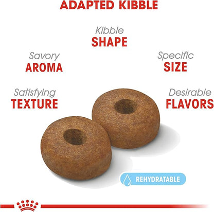 Royal Canin Large Aging 8+ Senior Dry Dog Food, 30 lb bag - PAWPICO