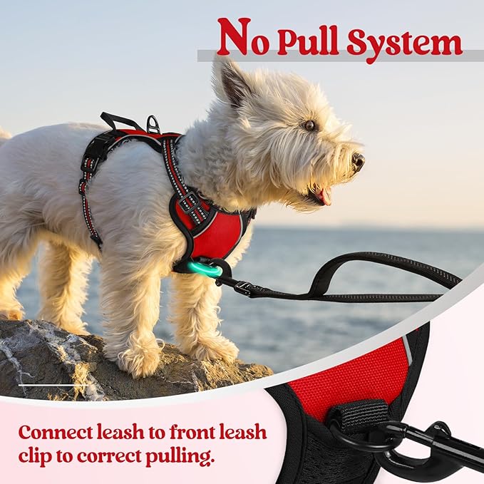 rabbitgoo Dog Harness No Pull with 2 Leash Clips, Adjustable Soft Padded, Reflective Oxford No Choke Pet Vest with Easy Control Handle for Puppy, Red,XS rabbitgoo