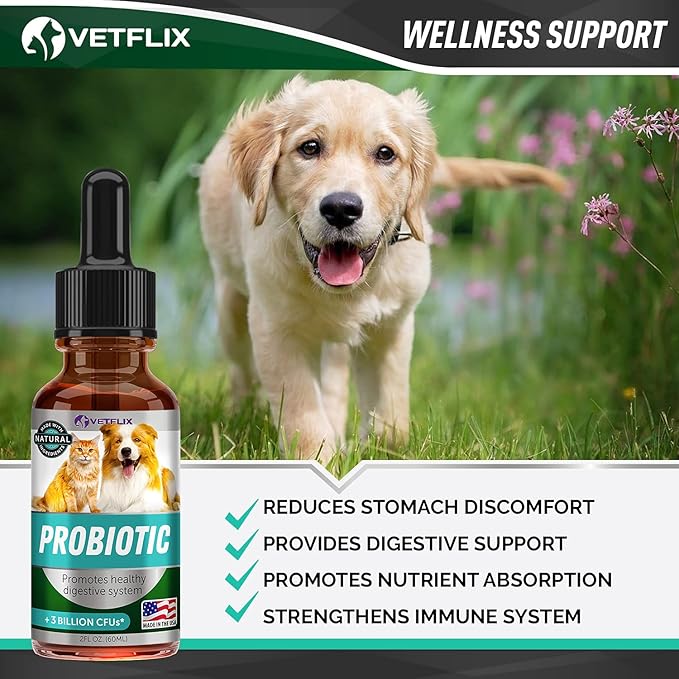 Premium Probiotics for Dogs & Cats - Digestive Enzymes & Prebiotics Supplement - Helps to Relieve Diarrhea, Vomiting, Upset Stomach, Gas, Constipation & Bad Breath - Supports Healthy Digestive System Vetflix