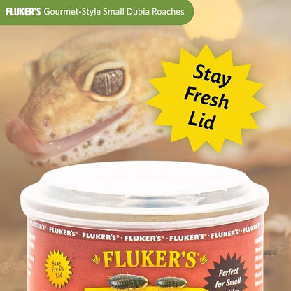 Fluker's Gourmet Canned Food for Reptiles, Fish, Birds and Small Animals, Dubia Roaches, 1.2 oz (Pack of 2) Flukers