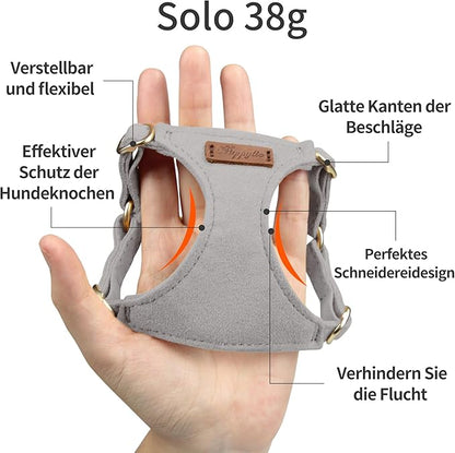 Puppytie No Pull Small Dog Harness with Multifunction Dog Leash,Lightweight Soft Adjustable No Choke Escape Proof Pet Harness Vest Pet Harness Vest,Silver Grey,S - PAWPICO