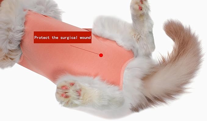 Cat Recovery Suit Female Kitten Cat Onesie for Cats After Surgery Female Spay Surgical Abdominal Wound Skin Diseases Cone Collar Soft Alternative Wear (Orange, S) Acoutpet