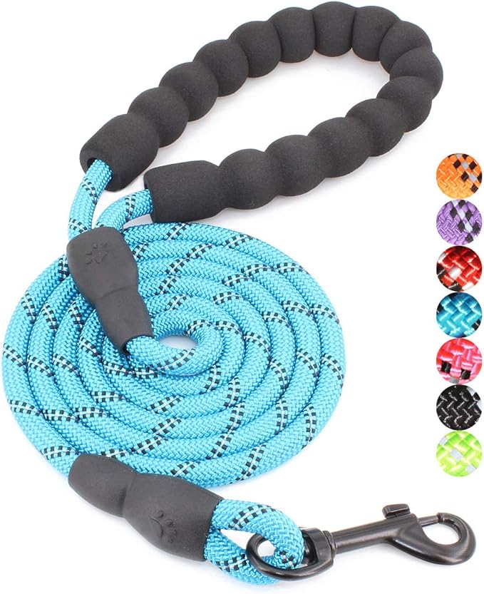 BAAPET 2/4/5/6 FT Dog Leash with Comfortable Padded Handle and Highly Reflective Threads for Small Medium and Large Dogs (5FT-1/3'', Blue) BAAPET