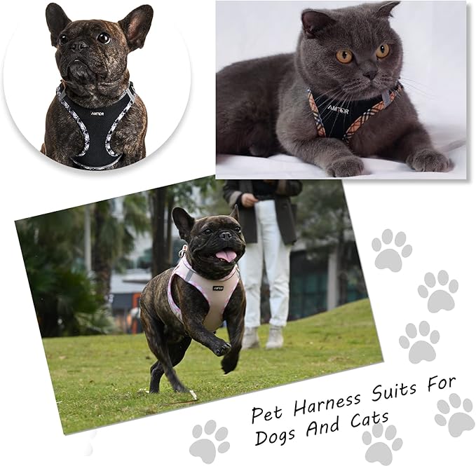 AMTOR Small Dog Harness with Leash Set, No Escape Easy Walk Puppy Harnesses for Training Walking, Step-in Reflective Soft Dogs Vest for XS S Medium Extra-Small Large Sized Dog(Pink,XL) AMTOR
