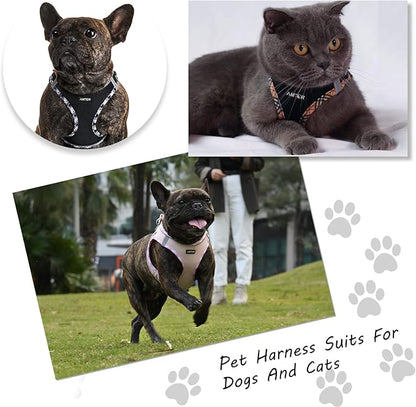 AMTOR Small Dog Harness with Leash Set, No Escape Easy Walk Puppy Harnesses for Training Walking, Step-in Reflective Soft Dogs Vest for XS S Medium Extra-Small Large Sized Dog(Pink,XL) AMTOR