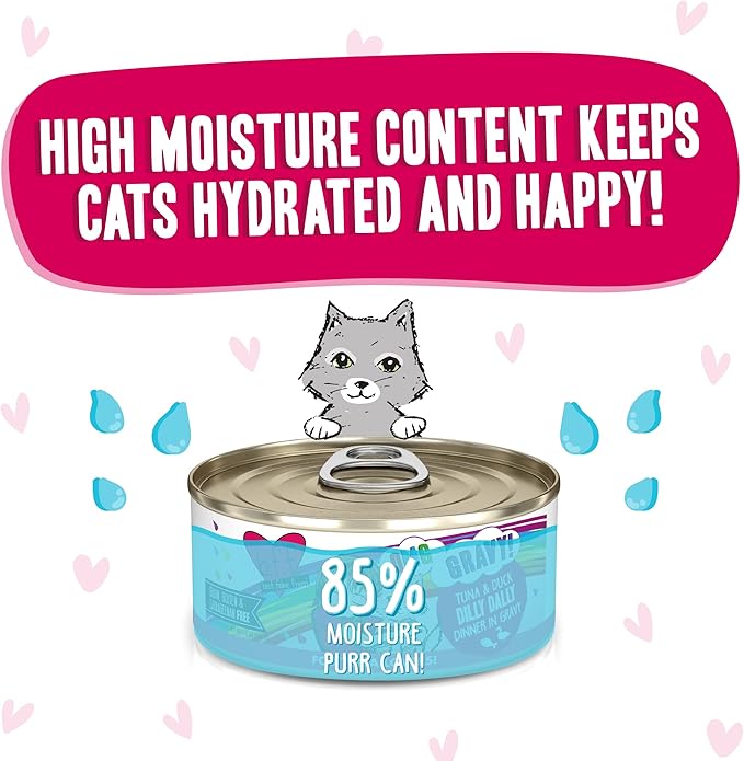 Weruva B.F.F. OMG - Best Feline Friend Oh My Gravy!, Tuna & Duck Dilly Dally with Tuna & Duck, 5.5oz Can (Pack of 8) - PAWPICO