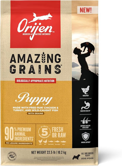 ORIJEN Amazing Grains Puppy Dry Dog Food, High Protein Dog Food for Puppies, Fresh or Raw Ingredients, 22.5lb - PAWPICO