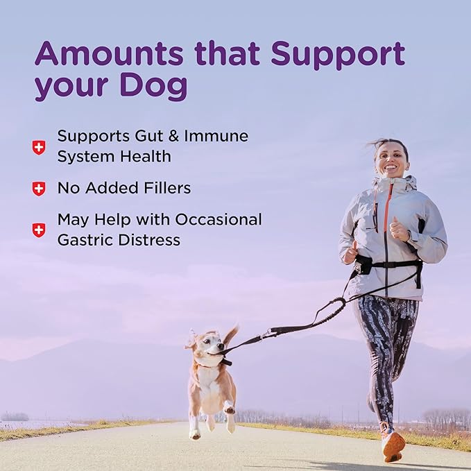 Nutri-Vet Pre and Probiotic Soft Chews for Dogs | Digestive Health Support | Tasty Alternative to Probiotic Powder | 120 Soft Chews Nutri-Vet