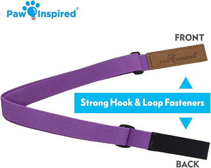 Paw Inspired Dog Diaper Suspenders with Velcro Fasteners | Stretchy Adjustable Suspenders for Female and Male Disposable and Washable Diapers | Fits Small, Medium and Large Size Pets (S/M, Purple) - PAWPICO