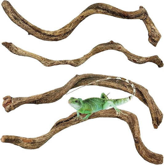 Reptile Branch Decor Snake Climbing Wood Branches Lizard Habitat Decorations Terrarium Wooden Tree Trunk Ornament for Bearded Dragon Snake Geckos Chameleon Frog 4 Pcs (14-16 inch) Apatal