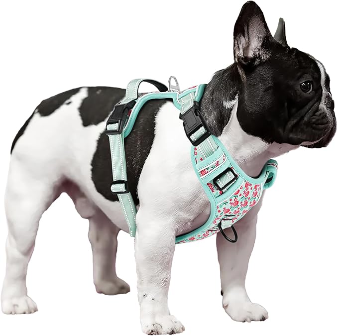 Timos Dog Harness, No-Pull Pet Harness with 2 Leash Clips, Adjustable Soft Padded Dog Vest, Reflective Outdoor Pet Oxford Vest with Easy Control Handle Timos