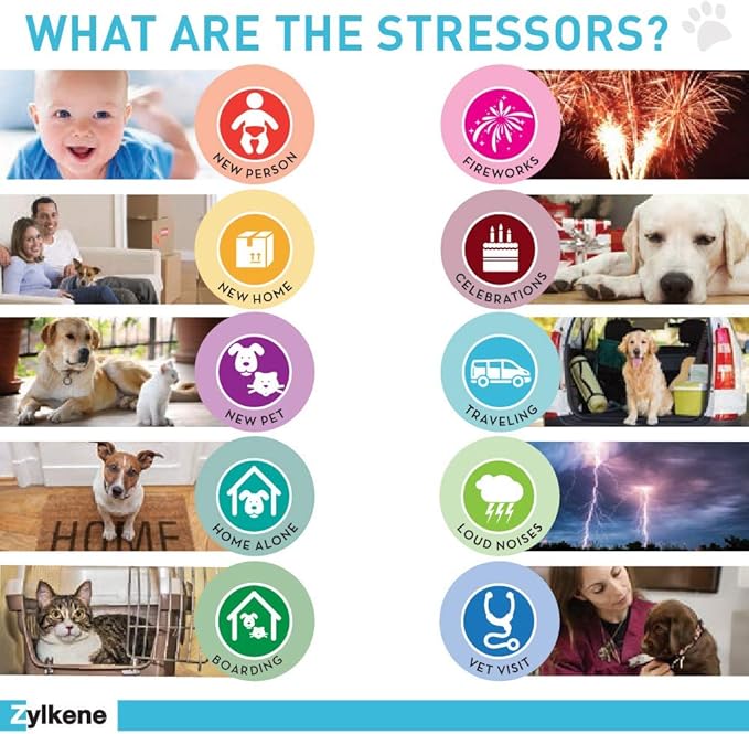 Vetoquinol Zylkene Behavior Support Capsules for Medium Dogs 33-65lbs, Calming All Natural Milk Protein Supplement, Helps Relieve Dog Anxiety During Fireworks and Thunder, 225mg Vetoquinol