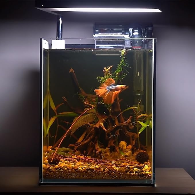 majoywoo Natural Driftwood for Aquarium Decor Fish Tank Decorations, Assorted Spider Wood Branch 4-8" 5 Pcs, Reptile Decor Majoywoo