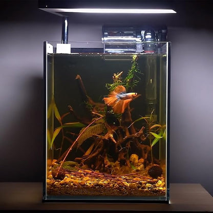 majoywoo Natural Driftwood for Aquarium Decor Fish Tank Decorations, Assorted Spider Wood Branch 4-8" 5 Pcs, Reptile Decor Majoywoo