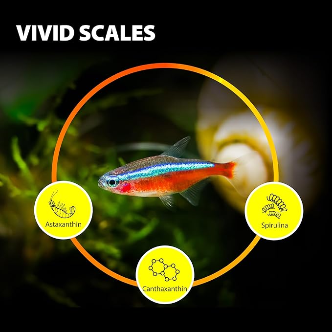 Purify Series for Tetra Fish Food, Small Tropical Sinking Pellets, Suitable for Betta, Guppy Fish, All Natural Ingredients, Balanced Composition of Fish Feed, 2.65 oz (Pack of 1) GOODPARTNERFishFoodPurifySeries