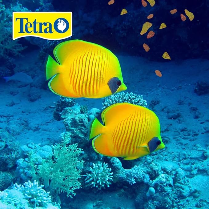 Tetra 16155 Min Large Tropical Flakes For Top/Mid Feeders, 5.65-Ounce Tetra