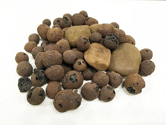 Penn-Plax (APON1) Aquaponic Planter and Aquarium for Betta Fish Tank Promotes Healthy Hydroponic Environment for Plants and Fish Penn-Plax