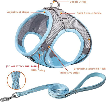 AIITLE Small Harness for Puppy with A Leash - Spring Dog Vest Harness with Super Breathable Mesh, Reflective No-Pull Pet Harness for Outdoor Walking, Camping for Small Dogs, Cats Blue XXS AIITLE-FORPETSBETTERLIFE