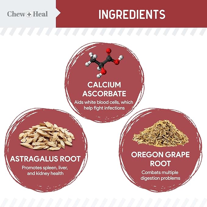 Dog UTI Treatment – 120 Cranberry Soft Chew Supplements for a Healthy Urinary Tract and Bladder Control – Made with Echinacea and Vitamin C – Corrects Imbalances ChewHeal