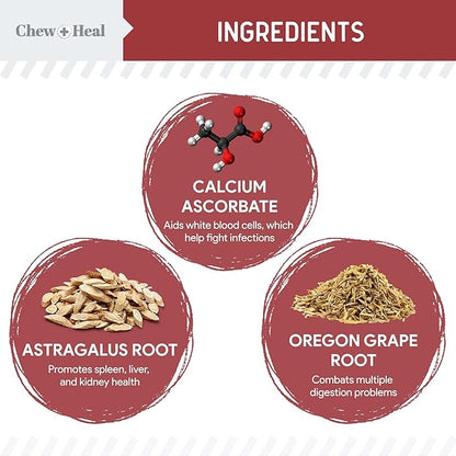 Dog UTI Treatment – 120 Cranberry Soft Chew Supplements for a Healthy Urinary Tract and Bladder Control – Made with Echinacea and Vitamin C – Corrects Imbalances ChewHeal