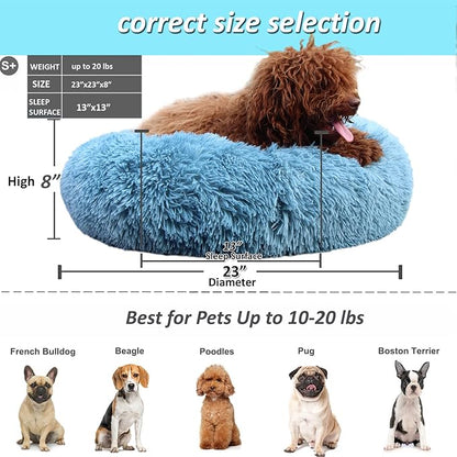 Small Dog Donut Bed for Small Dogs Machine Washable,Calming Donut Blue Dog Bed for Small Puppy with Anxiety，with Fluffy Soft and Comfy Faux Fur Cuddler Pet Bed for Small Pets - PAWPICO