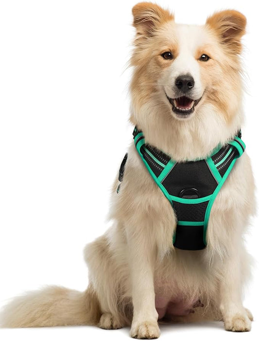 rabbitgoo Dog Harness No Pull with 2 Leash Clips, Adjustable Soft Padded, Reflective Oxford No Choke Pet Vest with Easy Control Handle for Medium Sized Dogs, Black & Turquoise, M rabbitgoo
