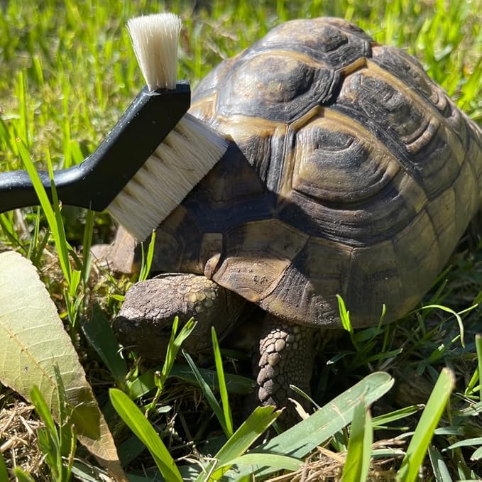 Snout and Shell - Turtle Cleaning Brush - gently remove algae and dirt from Turtles and Tortoises - Red SNOUTANDSHELL